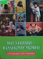    -   :   
